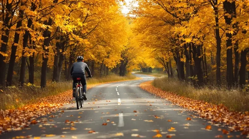 人气爆棚：秋日骑行全纪录
